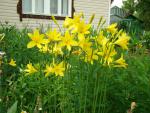 DSC07607.JPG