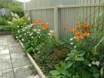 DSC07609.JPG