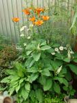 DSC07613.JPG