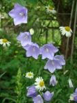DSC07618.JPG