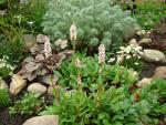 DSC07632.JPG