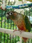 DSC07943.JPG