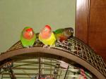 DSC09052.JPG