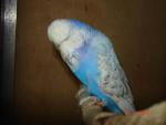 post-23531-1362069642_thumb.jpg