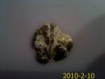 post-23552-1265822059_thumb.jpg