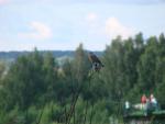 Dsc09633.jpg
