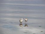 Dsc09003.jpg