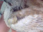 post-23789-1274470201_thumb.jpg