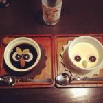 owl_cafes_Japan_6.jpg