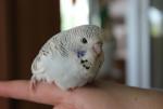 post-23998-1370012241_thumb.jpg