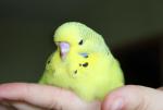 post-23998-1375530923_thumb.jpg