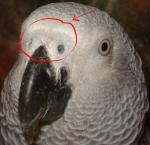 post-24096-1264582063_thumb.jpg
