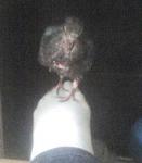 post-24449-1275561908_thumb.jpg
