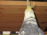 post-24454-1290624369_thumb.jpg