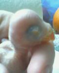 post-24530-1268651772_thumb.jpg