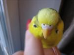 post-25218-1261913347_thumb.jpg