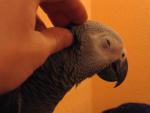 post-2537-1140378808_thumb.jpg