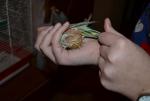 post-25504-1422201816_thumb.jpg