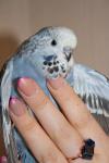 post-25650-1396943969_thumb.jpg