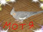 post-25716-1284038137_thumb.jpg