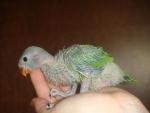 post-25716-1334608294_thumb.jpg
