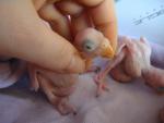 post-25716-1359821848_thumb.jpg