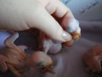 post-25716-1359821869_thumb.jpg