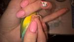 post-26465-1431726763_thumb.jpg