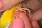 post-26465-1431727059_thumb.jpg