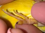 post-26465-1431805143_thumb.jpg