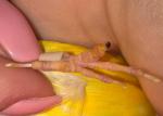 post-26465-1431805179_thumb.jpg