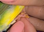 post-26465-1433030654_thumb.jpg
