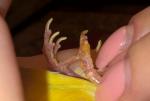 post-26465-1433030709_thumb.jpg