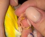 post-26465-1435236699_thumb.jpg