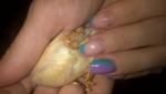 post-26465-1440459480_thumb.jpg