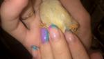 post-26465-1440459700_thumb.jpg