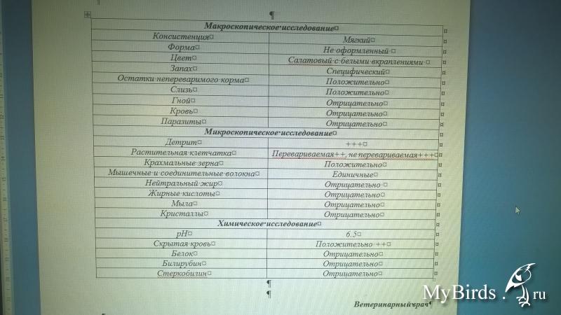 Копрограмма хранить в холодильнике