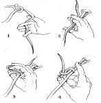 post-26640-1275915930_thumb.jpg