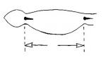 post-26640-1276977201_thumb.jpg