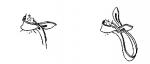 post-26640-1276977235_thumb.jpg