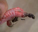 post-26678-1512018724_thumb.jpg