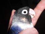 post-26768-1480953751_thumb.jpg