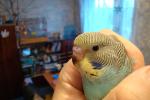 post-27040-1269701886_thumb.jpg