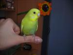 post-27238-1273556444_thumb.jpg