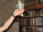 post-27257-1387963373_thumb.jpg