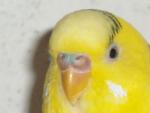 post-27341-1270627541_thumb.jpg