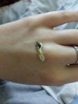 post-27398-1507559019_thumb.jpg