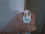 post-27552-1270392528_thumb.jpg