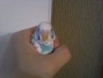 post-27552-1270392555_thumb.jpg