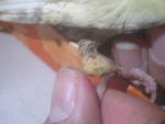 post-27728-1271526957_thumb.jpg